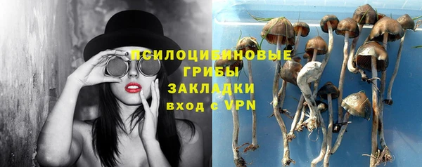 PSILOCYBIN Алексеевка