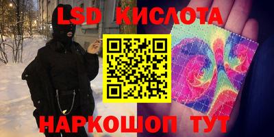 стафф Брянск