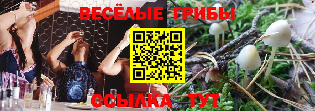 Псилоцибиновые грибы GOLDEN TEACHER Саки